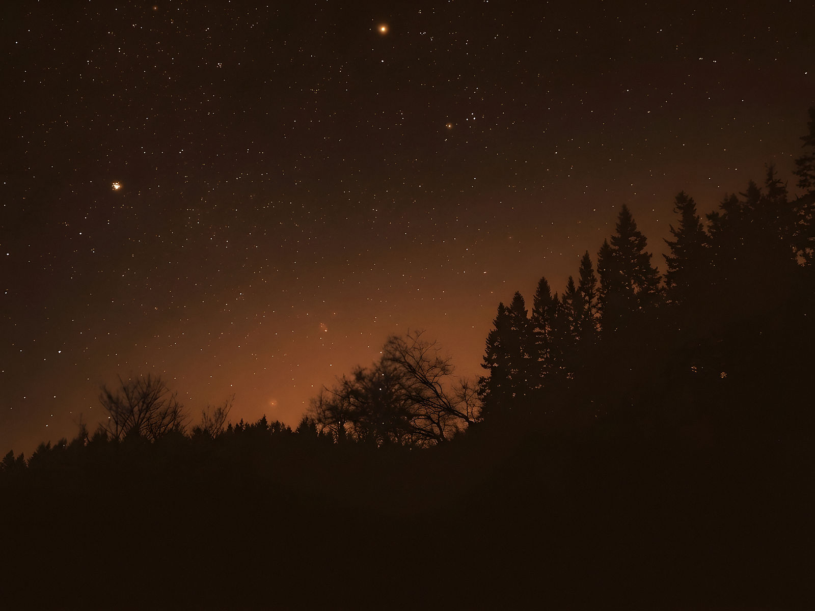 Cielo nocturno estrellado sobre la silueta de un bosque con resplandor cálido en el horizonte — Astrología Evolutiva